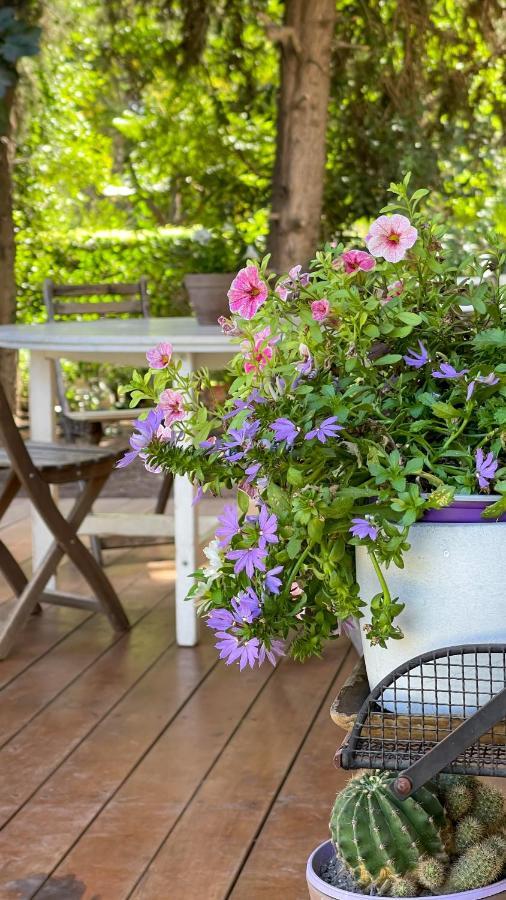 חופשה בחורשה Villa Sha'al Ngoại thất bức ảnh